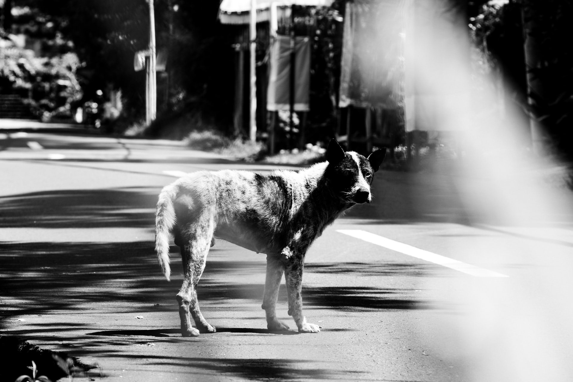 Photo by mark chaves on Unsplash