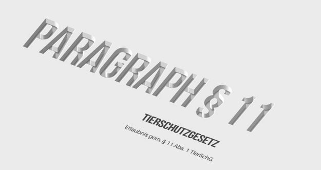 Title Paragr 11