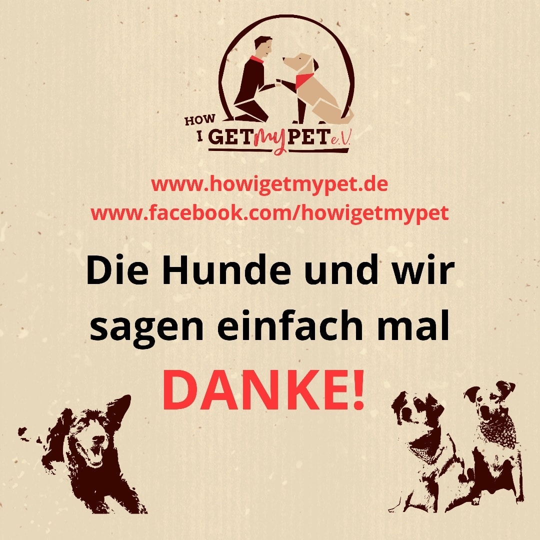 HIGMP Danke 10_2020