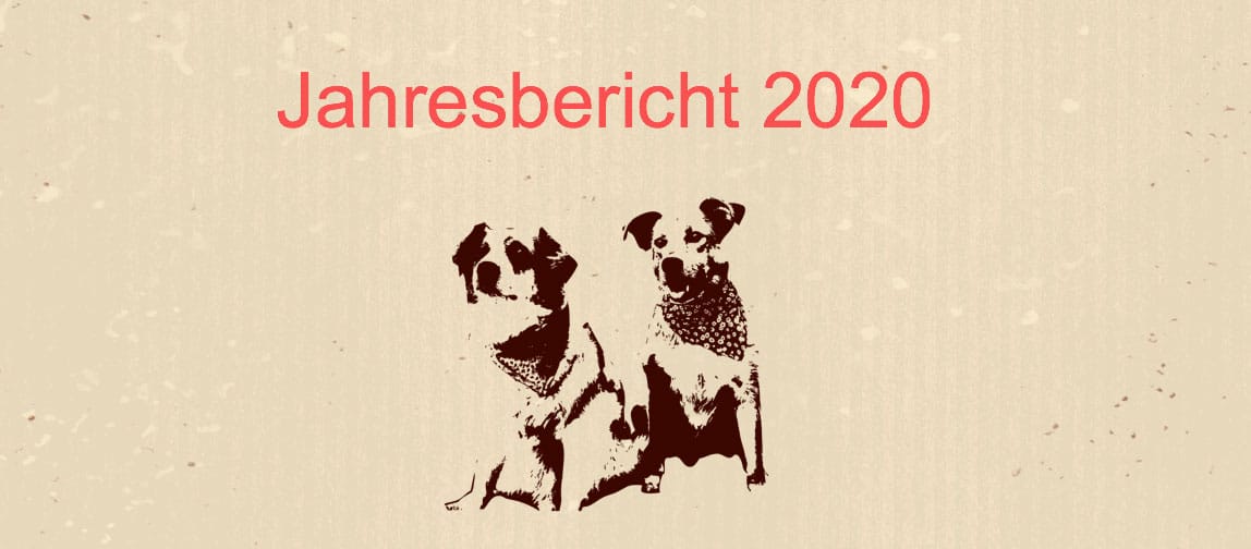 Header-Jahresbericht-2020