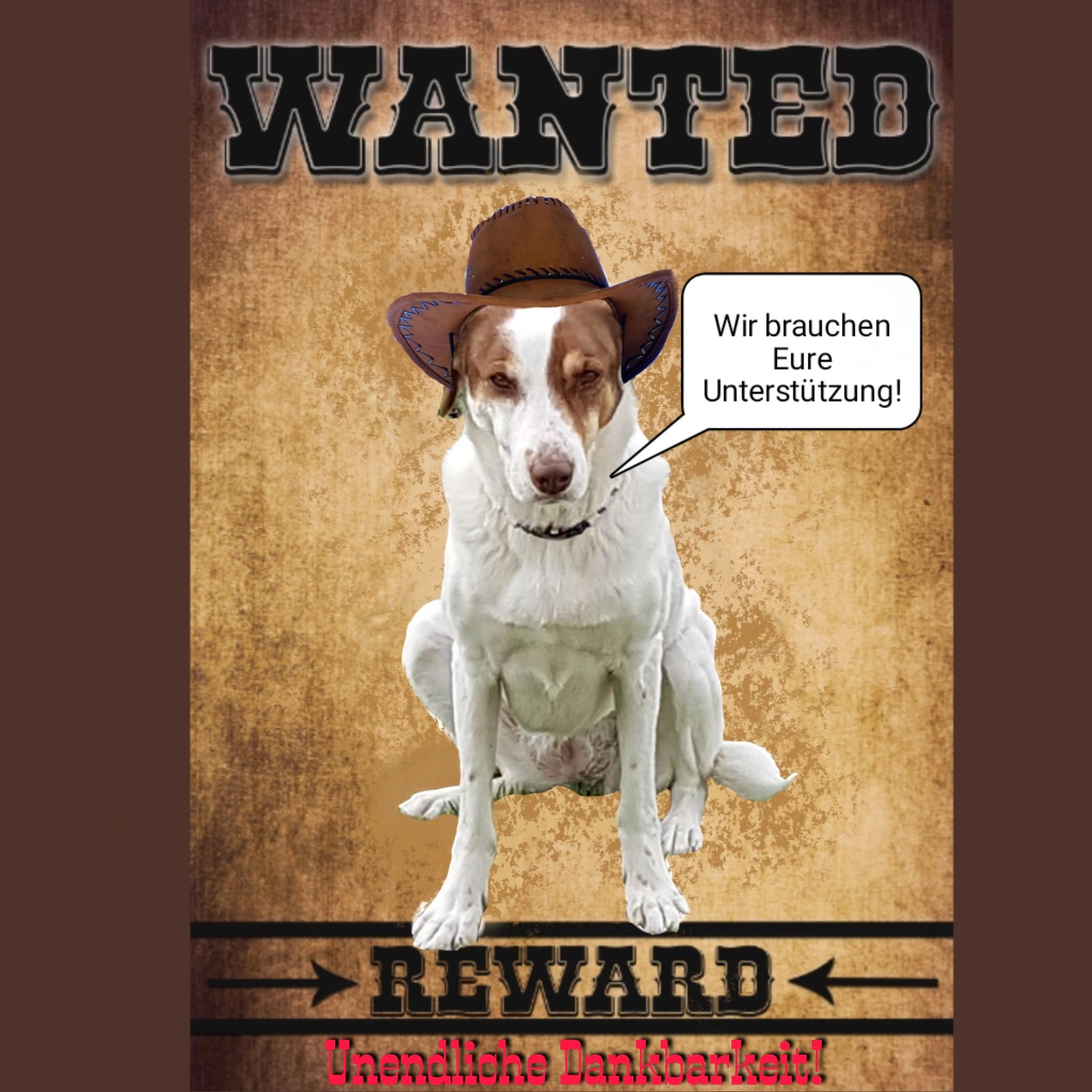 Wanted 202104_29