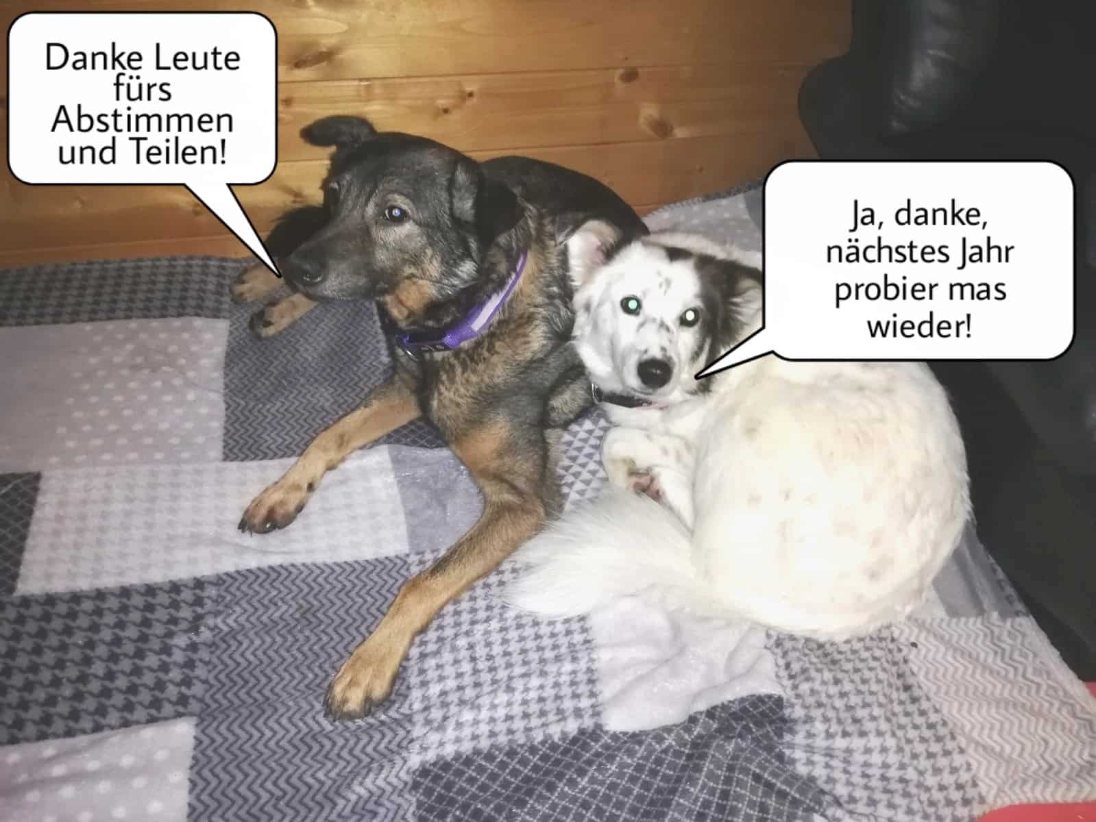 CanadaLife_Danke2022