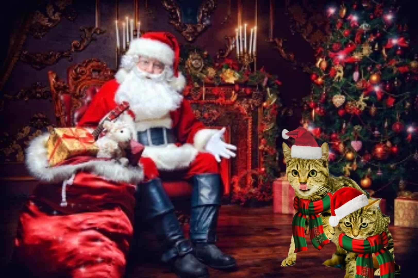Unser Nikolauswunsch 2022