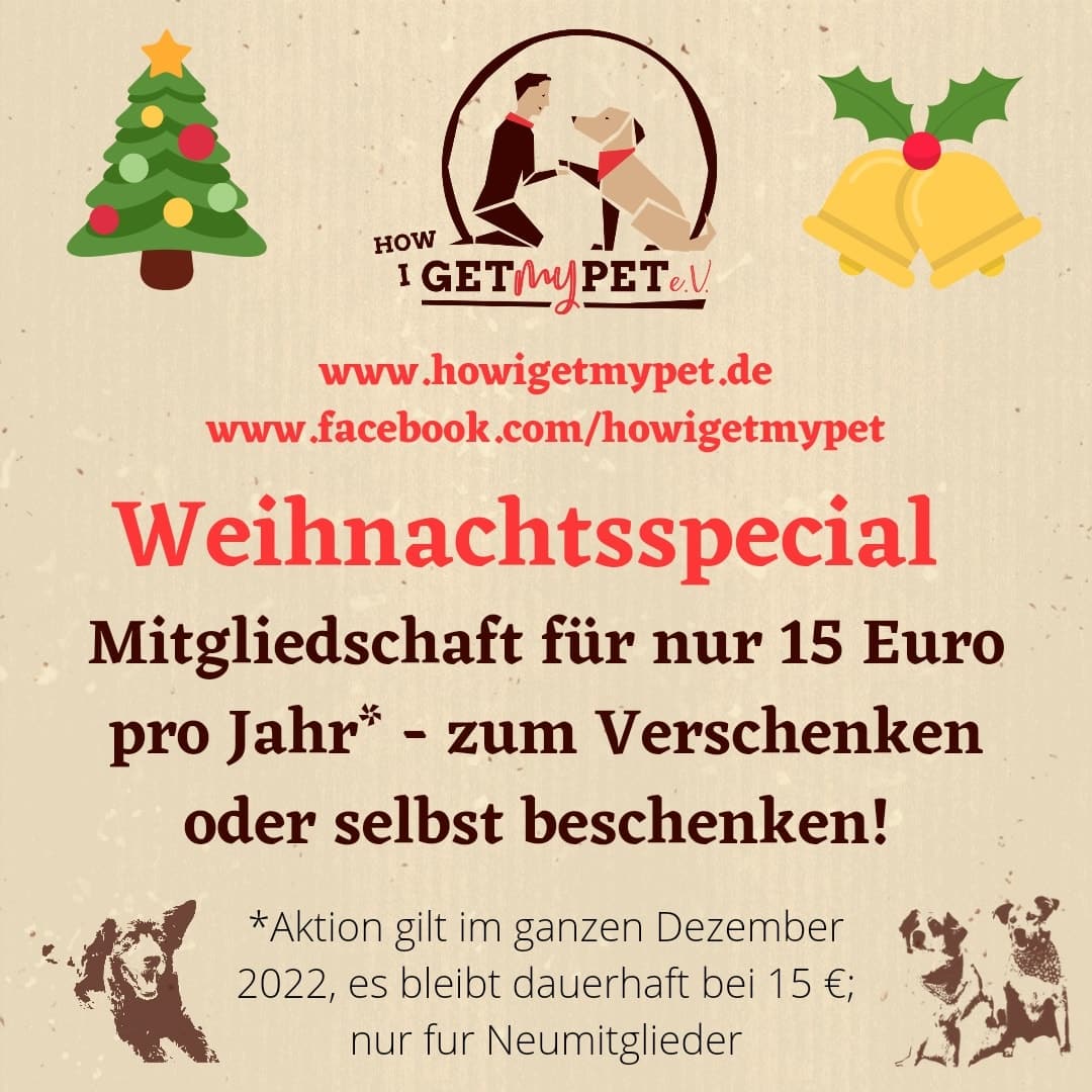 Weihnachtspecial 2022