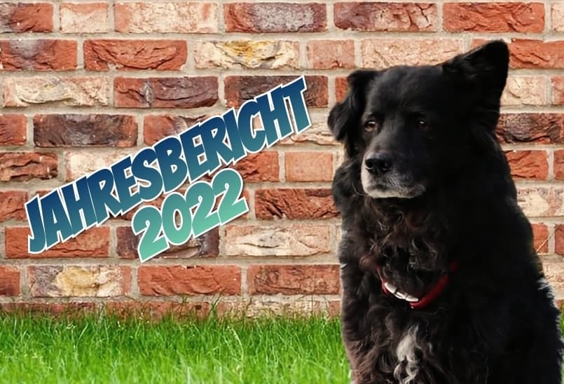 jahresbericht_2022