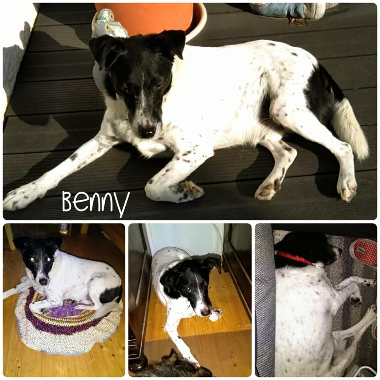 Benny 16_03_23 2