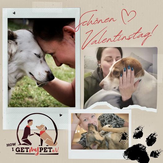 „Die Liebe eines Hundes kann man nicht beschreiben, man muss