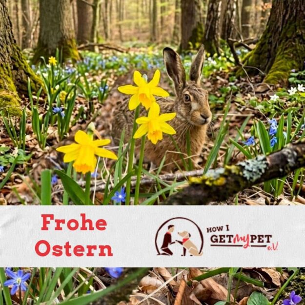 Ostern 2026