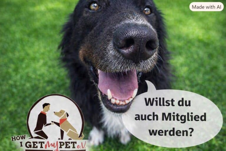 Mitglied werden 2026